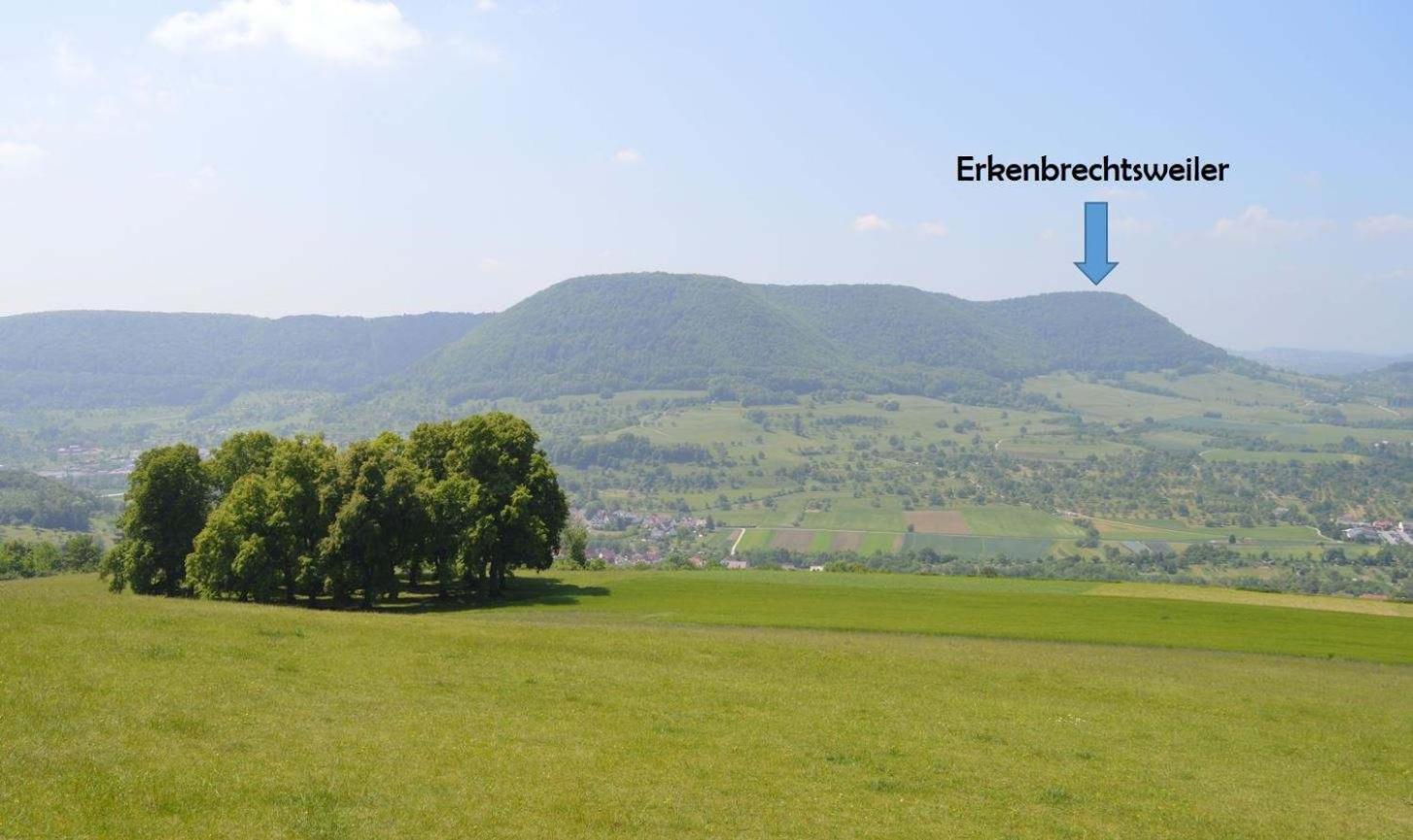 Fewo-Alb-Traum Erkenbrechtsweiler Exteriör bild