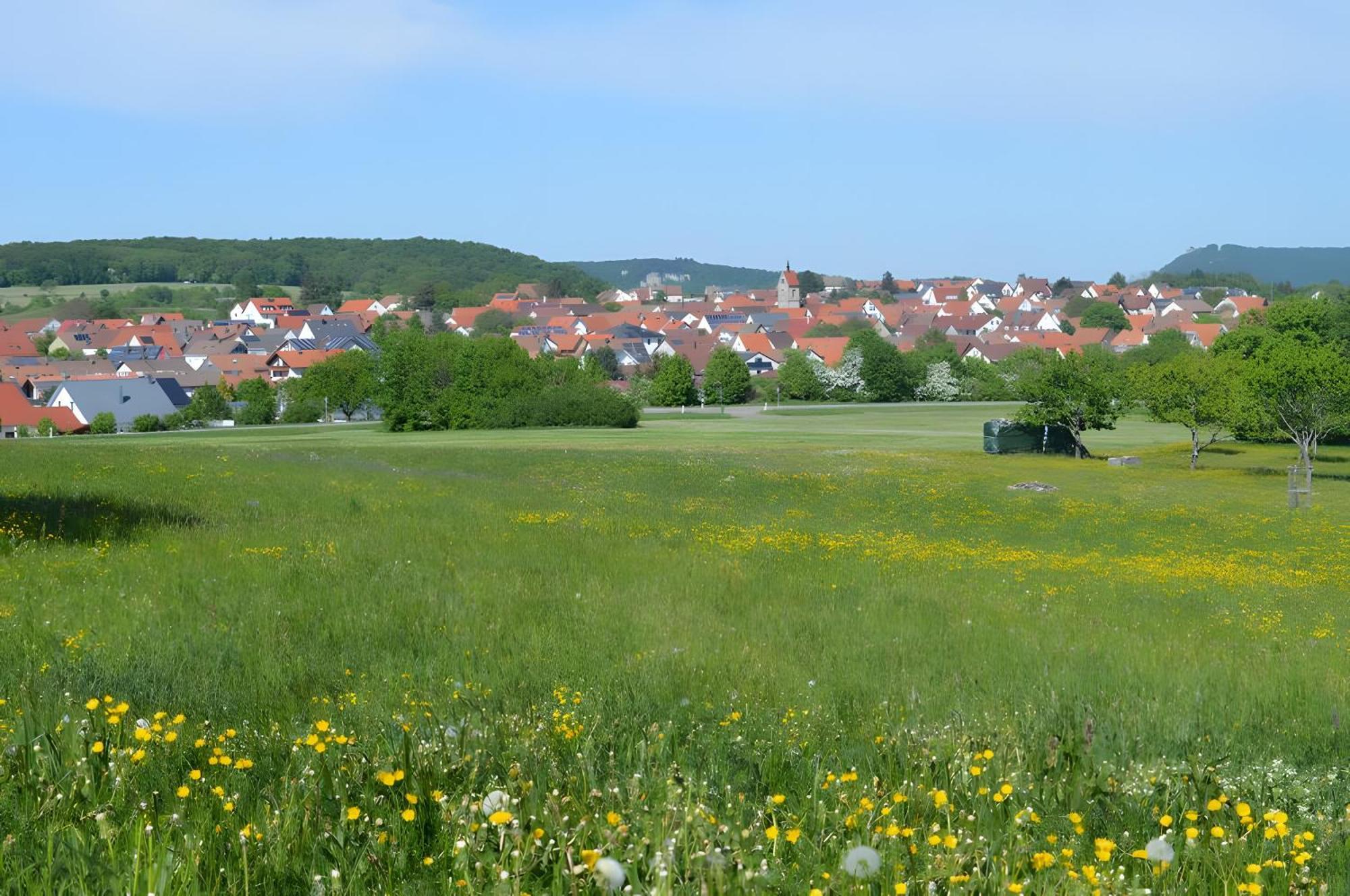Fewo-Alb-Traum Erkenbrechtsweiler Exteriör bild